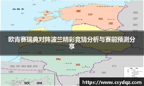 欧青赛瑞典对阵波兰精彩竞猜分析与赛前预测分享